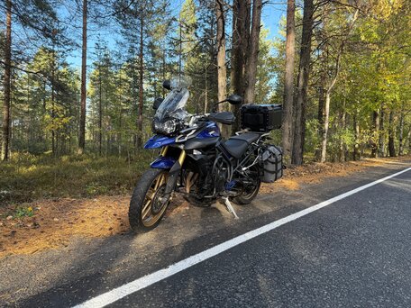 2012 Triumph Tiger 800, синий, 550000 рублей, вид 3