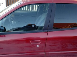 2004 Citroen Xsara, красный, 390000 рублей, вид 5