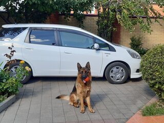 2012 Honda Fit Shuttle I, белый, 1250000 рублей, вид 2