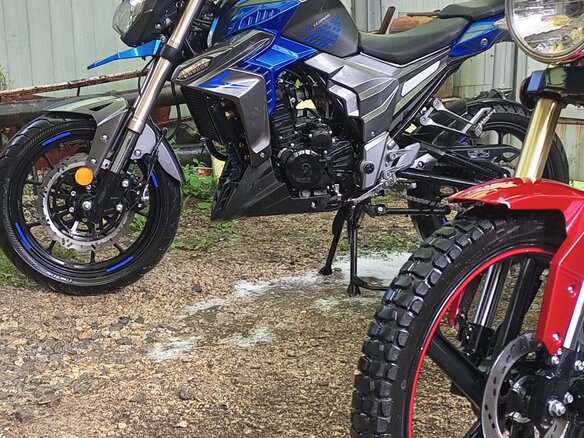 2022 Regulmoto T-Leopard 300, синий, 390000 рублей - вид 12