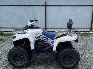 2022 Motoland ATV 200 Shark, белый, 150000 рублей, вид 3