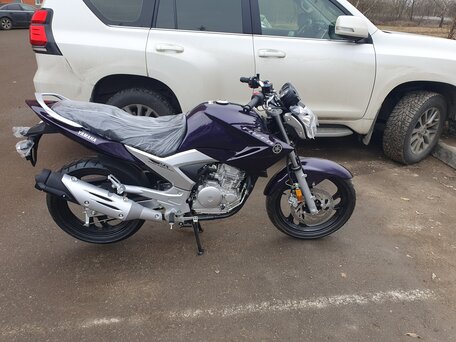 2019 Yamaha YS250 Fazer, фиолетовый, 350000 рублей, вид 1