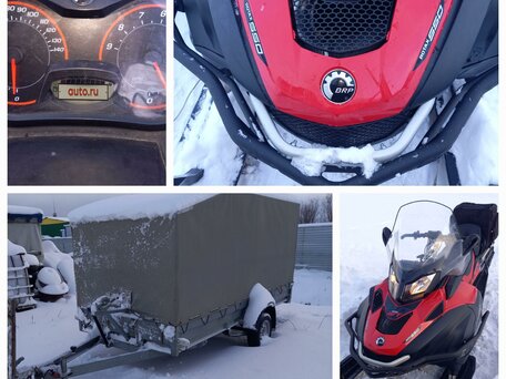 2019 Ski-Doo Skandic, красный, 1500000 рублей, вид 1