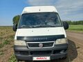 2011 Fiat Professional Ducato, белый - вид 1