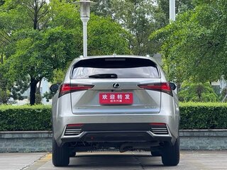 2018 Lexus NX 200 I Рестайлинг, серый, 2340000 рублей, вид 5