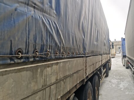 1994 Renault Magnum, белый, 550000 рублей, вид 4