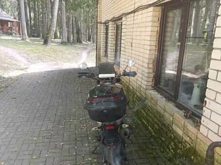 2020 Shineray Fireguard 250 Trail, серый, 140000 рублей, вид 3