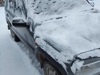 2005 Chevrolet Niva I, серый, 300000 рублей, вид 5
