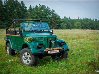 1956 ГАЗ 69, зелёный, 450000 рублей, вид 3