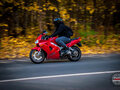 2001 Honda VFR 800, красный, 380000 рублей