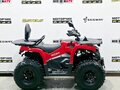 2025 Bison 250U, красный, 309900 рублей - вид 5