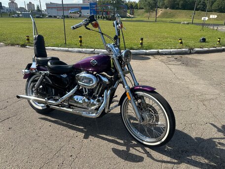 2005 Harley-Davidson Sportster 1200, пурпурный, 565000 рублей, вид 1