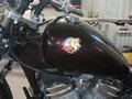 1995 Honda Steed 600, чёрный, 400000 рублей - вид 2