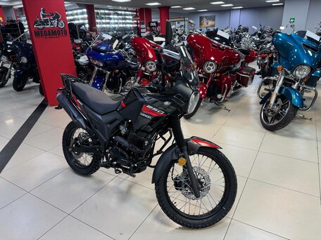 2025 Loncin MS250, красный, 179900 рублей, вид 5