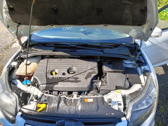 2013 Ford Focus III, белый, 700000 рублей - вид 7