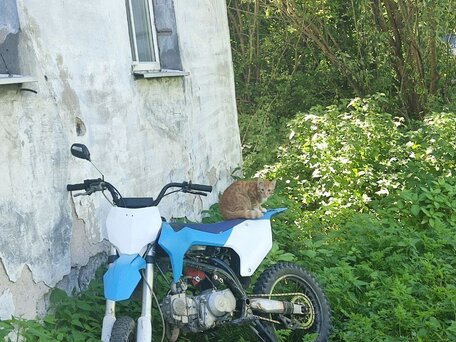 2023 Apollo RXF Freeride, синий, 55000 рублей, вид 3