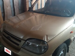 2004 Chevrolet Niva I, коричневый, 250000 рублей, вид 3