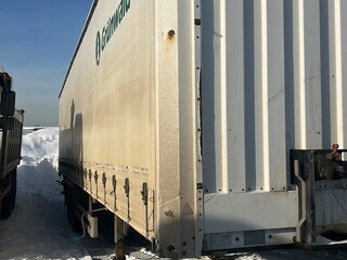 2022 Grunwald Полуприцеп шторный, серый, 2023000 рублей, вид 1