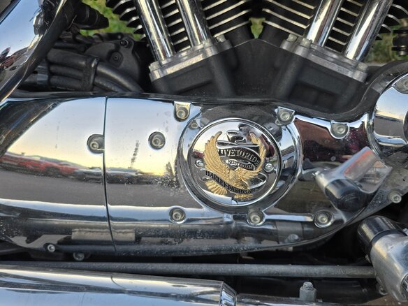 2013 Harley-Davidson Sportster 1200, синий, 700000 рублей - вид 9