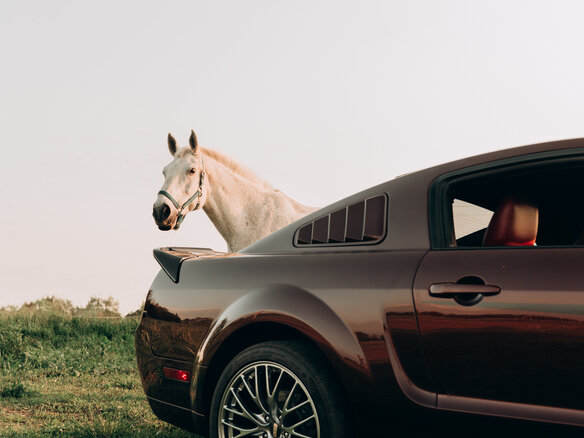 2005 Ford Mustang V, пурпурный, 3300000 рублей - вид 25