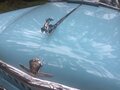 1961 ГАЗ 21 «Волга» 21В, голубой, 570000 рублей - вид 9