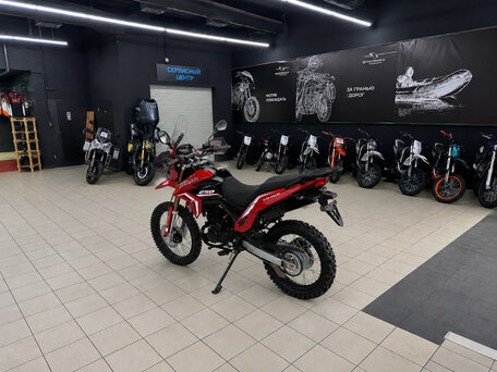2026 Motoland Enduro 250, красный, 137500 рублей, вид 4