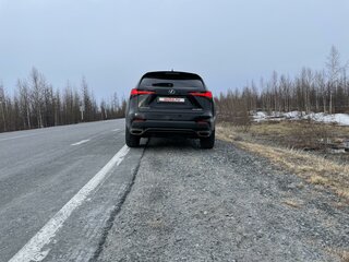 2019 Lexus NX 300 I Рестайлинг, чёрный, 5900000 рублей, вид 5