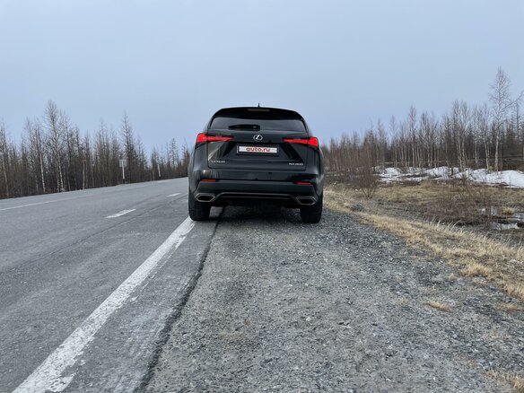 2019 Lexus NX 300 I Рестайлинг, чёрный, 5900000 рублей - вид 4
