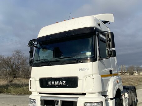 2018 КамАЗ 5490 NEO, белый, 3000000 рублей, вид 2