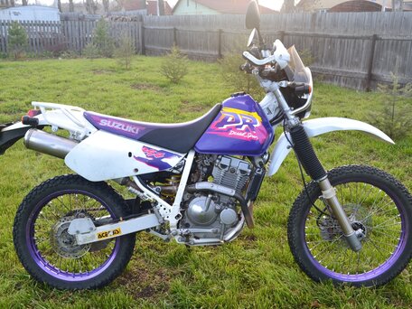 1996 Suzuki Djebel 250, белый, 350000 рублей, вид 5