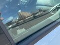 2018 Ford Focus III Рестайлинг, белый, 1500000 рублей - вид 11
