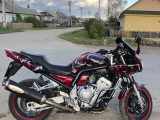2005 Yamaha FZS1000 Fazer, красный, 320000 рублей, вид 5