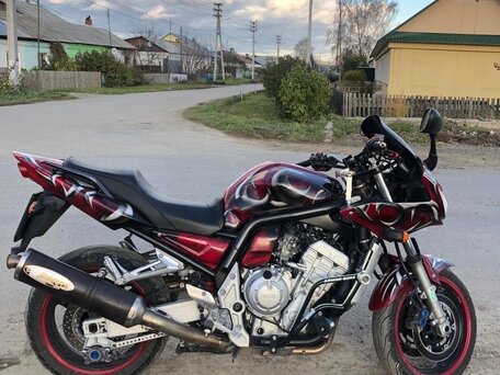 2005 Yamaha FZS1000 Fazer, красный, 320000 рублей, вид 5