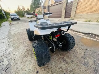 2024 Motoland Wild 125, белый, 105000 рублей, вид 4
