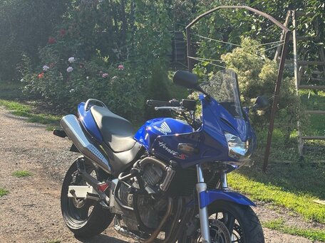 2001 Honda CB 600F Hornet, синий, 375000 рублей, вид 1