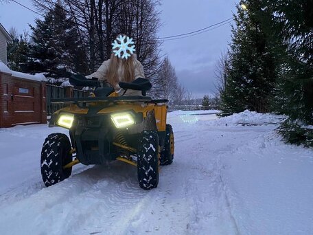 2022 Motoland Wild Track 200, жёлтый, 190000 рублей, вид 1