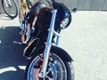 2005 Harley-Davidson V-Rod, чёрный, 950000 рублей - вид 3