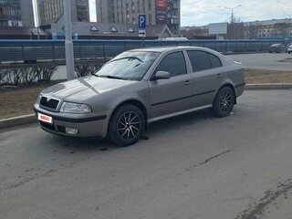 2008 Skoda Octavia I (A4) Рестайлинг, серый, 500000 рублей, вид 1