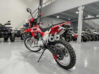 2025 JHL SX150, красный, 119990 рублей, вид 3