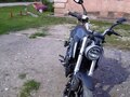 2024 Racer Caiman, зелёный, 200000 рублей