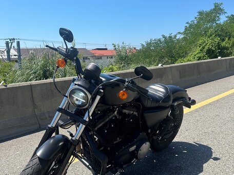 2017 Harley-Davidson Sportster 883, чёрный, 900000 рублей, вид 5