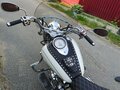 2001 Yamaha XVS650 Drag Star, белый, 666000 рублей