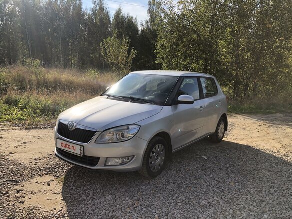 2010 Skoda Fabia II Рестайлинг, серый