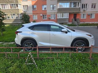 2021 Lexus NX 300 I Рестайлинг, белый, 4300000 рублей, вид 3