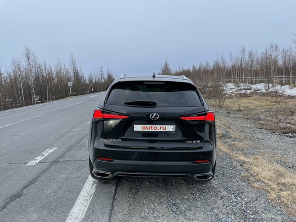 2019 Lexus NX 300 I Рестайлинг, чёрный, 5900000 рублей - вид 6