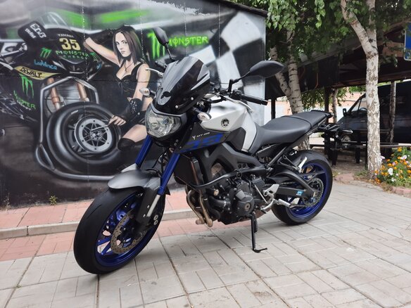 2016 Yamaha MT-09 (FZ-09), серый, 740000 рублей - вид 8