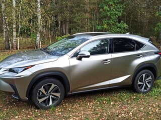 2019 Lexus NX 300 I Рестайлинг, серебристый, 4309218 рублей, вид 4