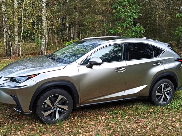 2019 Lexus NX 300 I Рестайлинг, серебристый, 4309218 рублей - вид 3