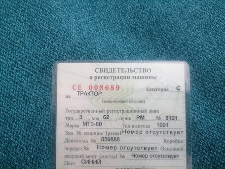 1991 МТЗ (BELARUS) 80, синий, 350000 рублей, вид 3