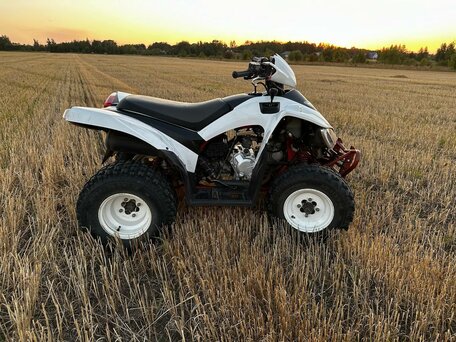 2016 Sym Husky 125, белый, 175000 рублей, вид 2